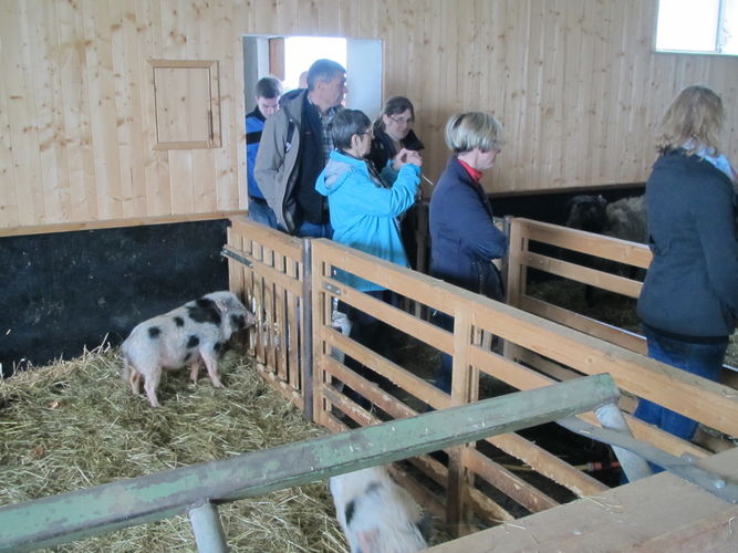 Exkursion OÖ am 29. April 2014 Franzlhof.jpg © Green Care Team Exkursion OÖ am 29. April 2014 Franzlhof.jpg © Green Care Team