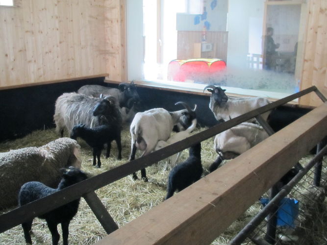 Exkursion OÖ am 29. April 2014 Franzlhof.jpg © Green Care Team Exkursion OÖ am 29. April 2014 Franzlhof.jpg © Green Care Team