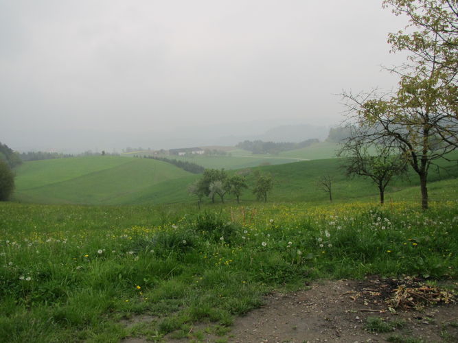 Exkursion OÖ am 29. April 2014 Franzlhof.jpg © Green Care Team Exkursion OÖ am 29. April 2014 Franzlhof.jpg © Green Care Team