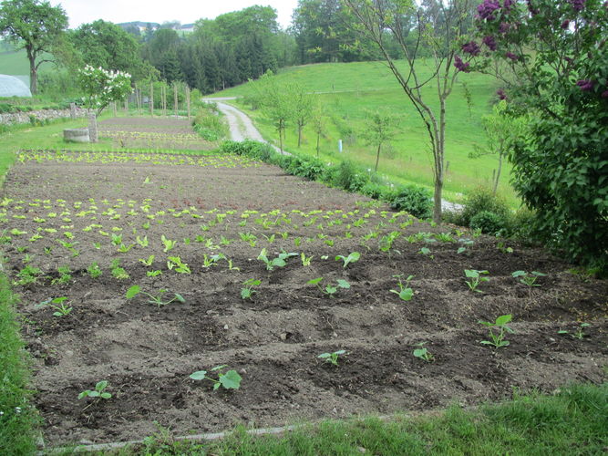 Green Care Exkursion OÖ am 29. April 2014 Loidhold-Hof.jpg © Green Care Team Green Care Exkursion OÖ am 29. April 2014 Loidhold-Hof.jpg © Green Care Team