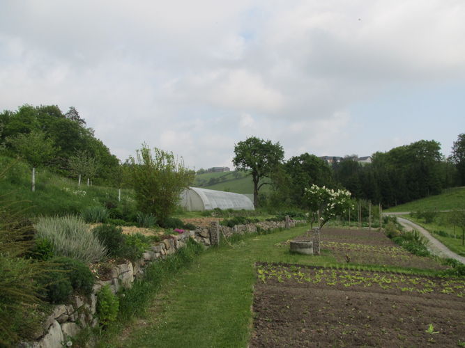 Green Care Exkursion OÖ am 29. April 2014 Loidhold-Hof.jpg © Green Care Team Green Care Exkursion OÖ am 29. April 2014 Loidhold-Hof.jpg © Green Care Team