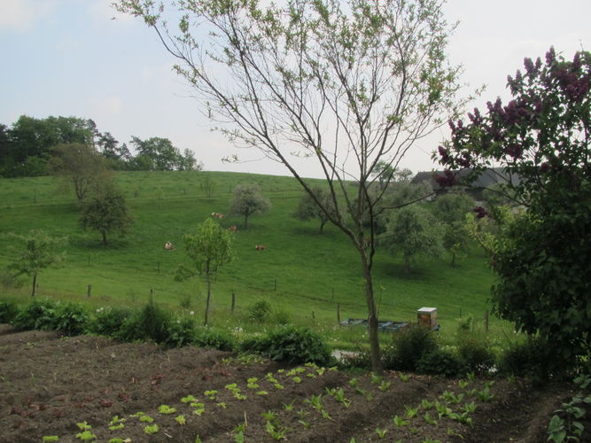 Green Care Exkursion OÖ am 29. April 2014 Loidhold-Hof.jpg © Green Care Team Green Care Exkursion OÖ am 29. April 2014 Loidhold-Hof.jpg © Green Care Team