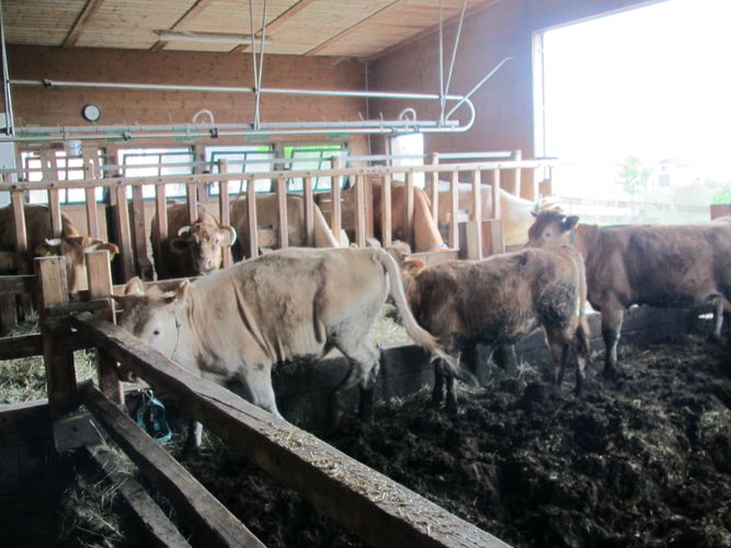 Green Care Exkursion OÖ am 29. April 2014 Loidhold-Hof.jpg © Green Care Team Green Care Exkursion OÖ am 29. April 2014 Loidhold-Hof.jpg © Green Care Team