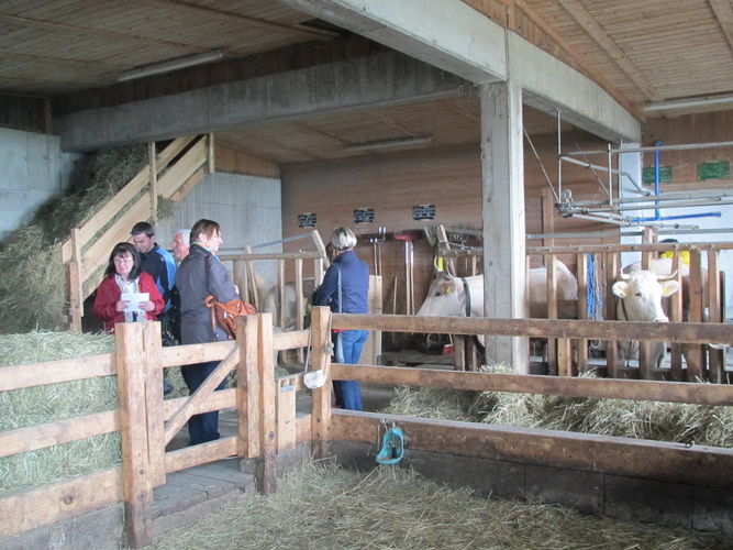 Green Care Exkursion OÖ am 29. April 2014 Loidhold-Hof.jpg © Green Care Team Green Care Exkursion OÖ am 29. April 2014 Loidhold-Hof.jpg © Green Care Team