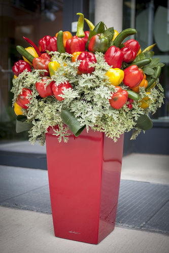 3. Green Care Tagung 26. Juni 2014.jpg © Green Care Team 3. Green Care Tagung 26. Juni 2014.jpg © Green Care Team