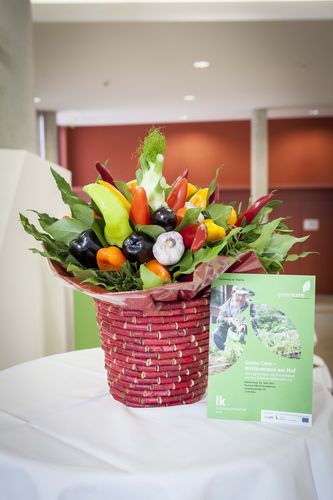 3. Green Care Tagung 26. Juni 2014.jpg © Green Care Team 3. Green Care Tagung 26. Juni 2014.jpg © Green Care Team