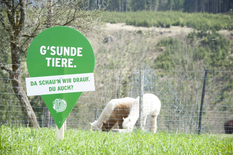 Green Care-Betrieb in Lunz am See öffnete erstmals seine Tore.jpg © Posch Green Care-Betrieb in Lunz am See öffnete erstmals seine Tore.jpg © Posch