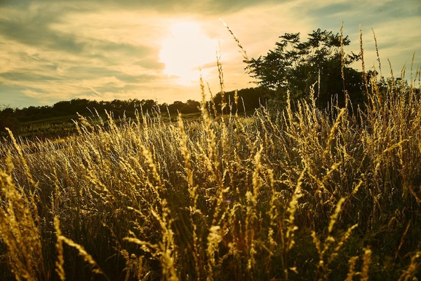 [1659006025622478.jpg]