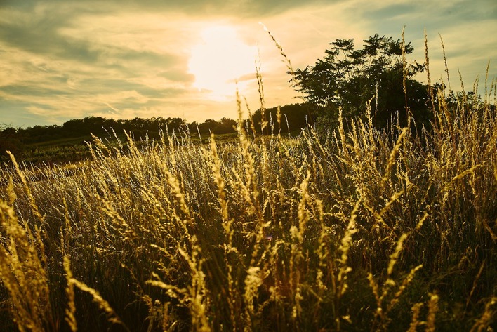 [1659006025622478.jpg]