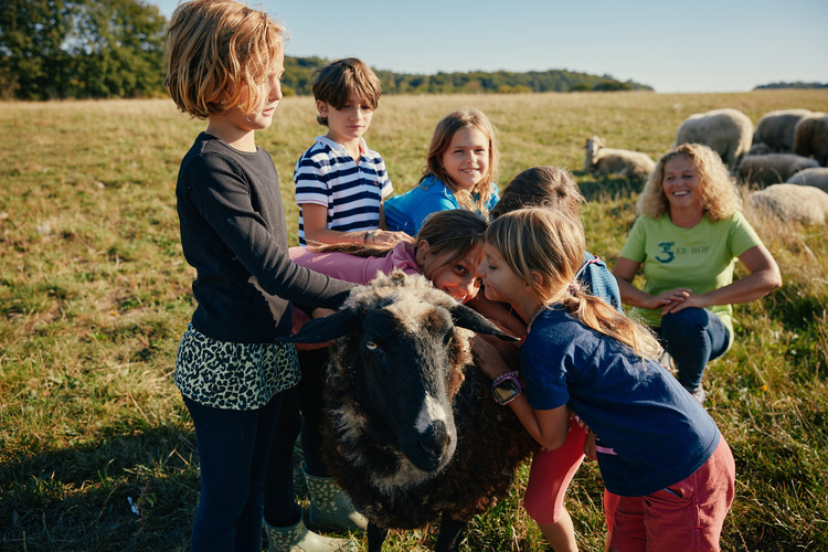 Schafe streicheln_Imagebild_GC_Ulrich Zinell © GC_Ulrich Zinell Schafe streicheln_Imagebild_GC_Ulrich Zinell © GC_Ulrich Zinell