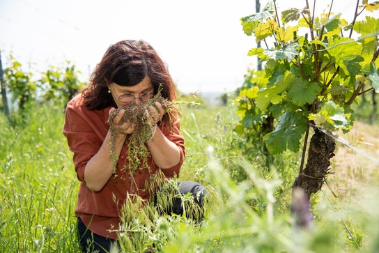 [1763628831384290.jpg]