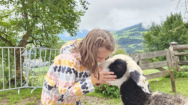 [1764069729851620.jpg]