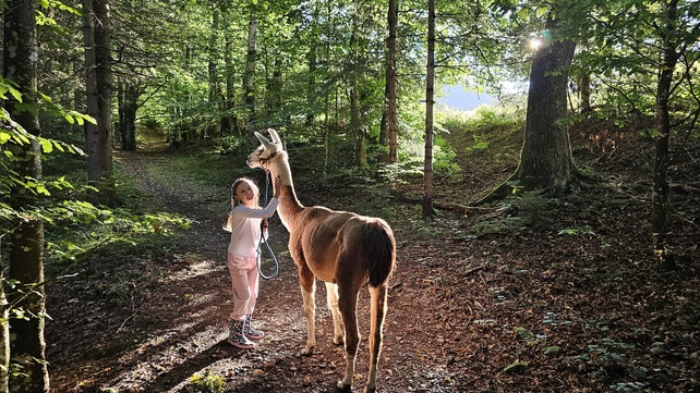 [1764069772449477.jpg]