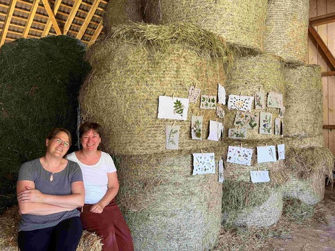 [1764235463062744.jpg]