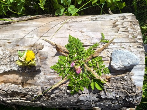 [1764760900232499.jpg]