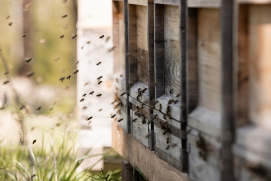 [176837778392564.jpg]