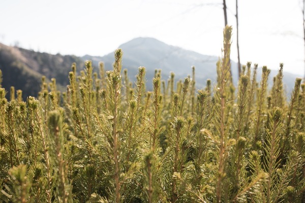 [1768377845146398.jpg]