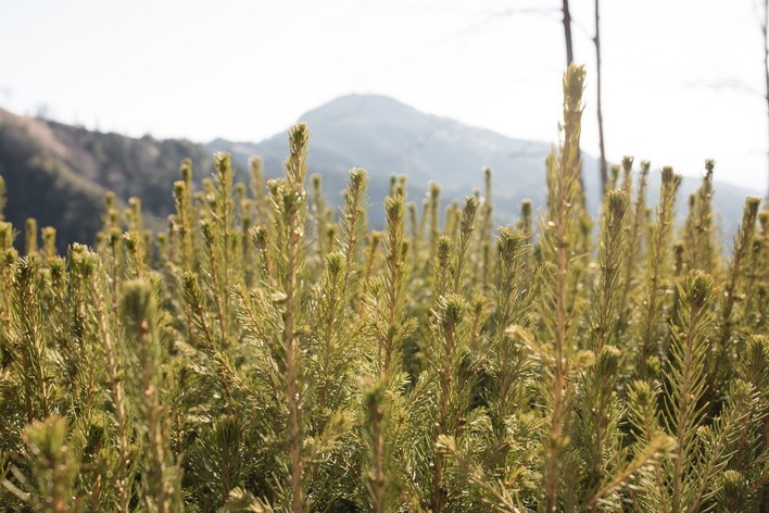 [1768377845146398.jpg]