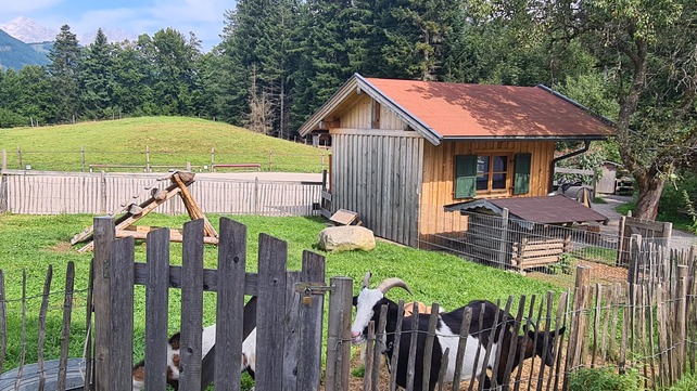 [1771402499689994.jpg]