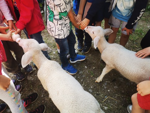 [1771404480918228.jpg]