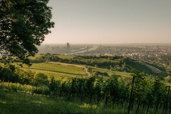 [1771930489188768.jpg]