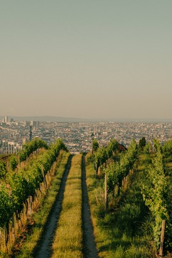 [1771930992131162.jpg]