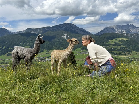 [1775115576551987.jpg]