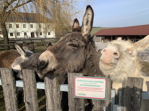 [1777275037380898.jpg]