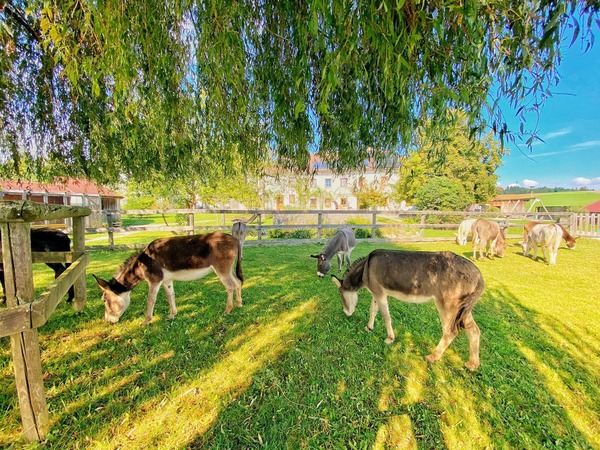 [1777275173662155.jpg]