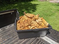 Ernte von Drohnenbau aus Baurähmchen und Wildbau Ernte von Drohnenbau aus Baurähmchen und Wildbau
