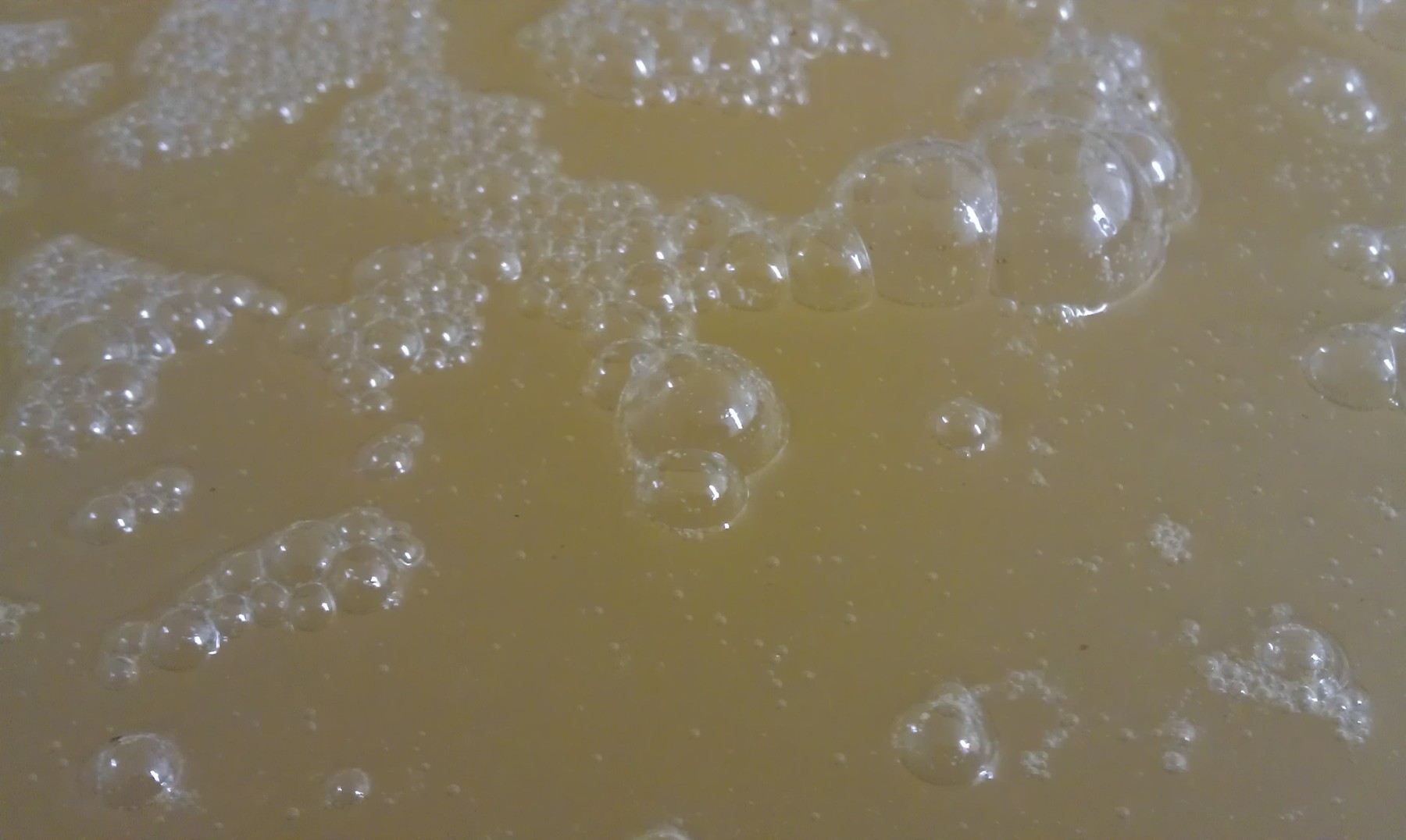 Immer wieder faszinierend - die Hefe in voller Kation. Immer wieder faszinierend - die Hefe in voller Kation.
