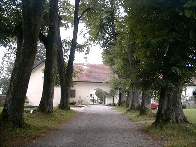 Die alte Lindenallee ist als Naturdenkmal geschützt.