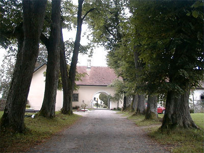 Die alte Lindenallee ist als Naturdenkmal geschützt. Die alte Lindenallee ist als Naturdenkmal geschützt.