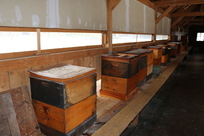Bienenstöcke im Klosterbienenstand