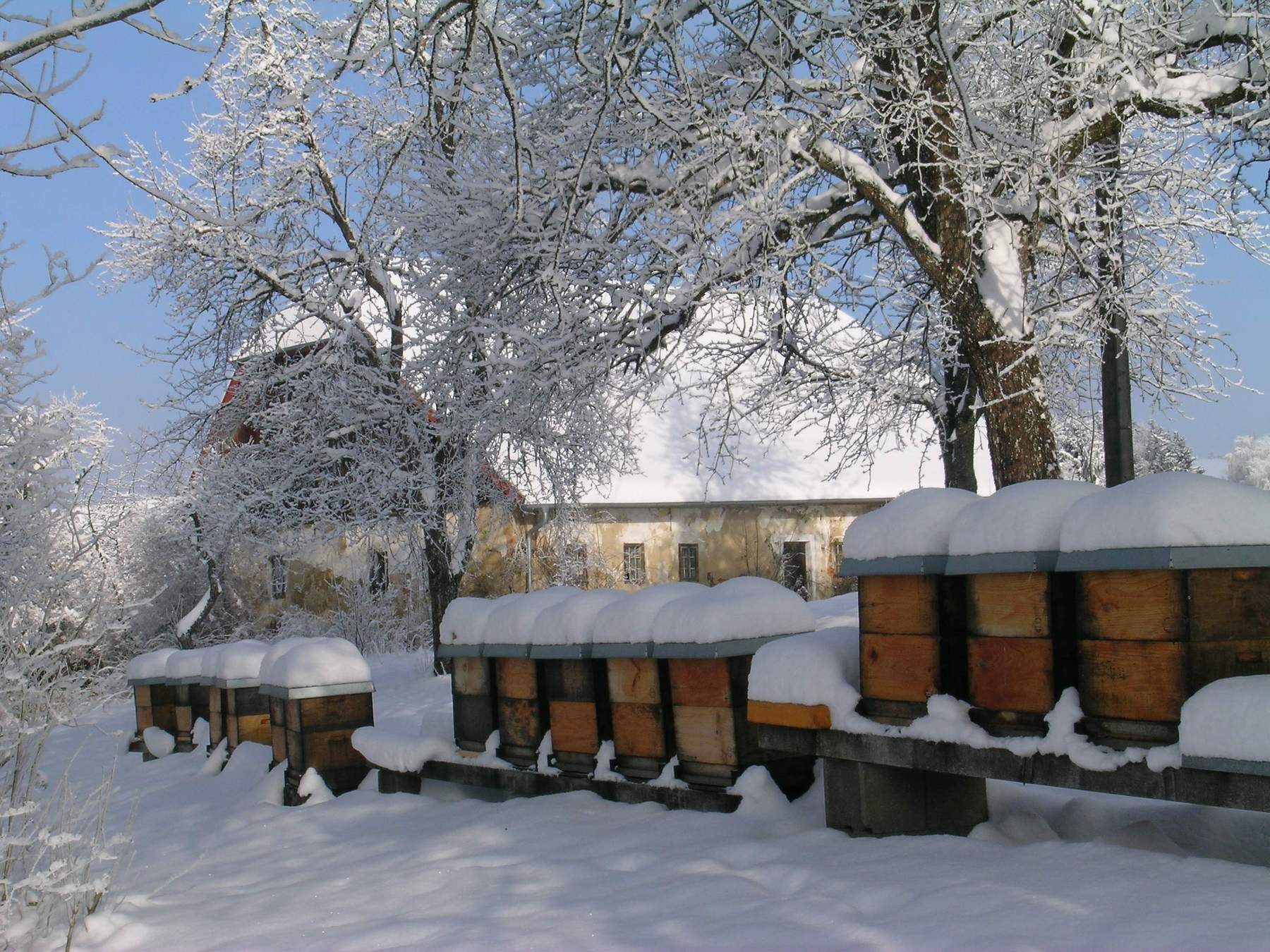 Die Lage Falkenstein im Winter