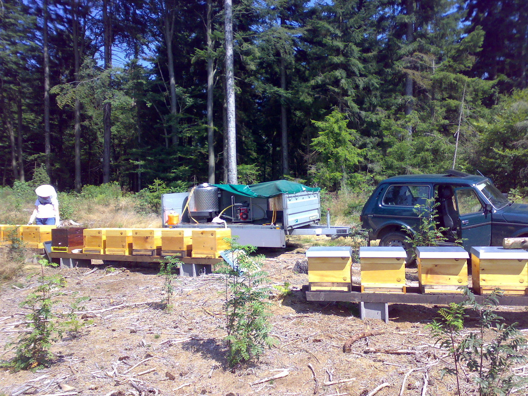 Fütterung der Bienen im August Fütterung der Bienen im August