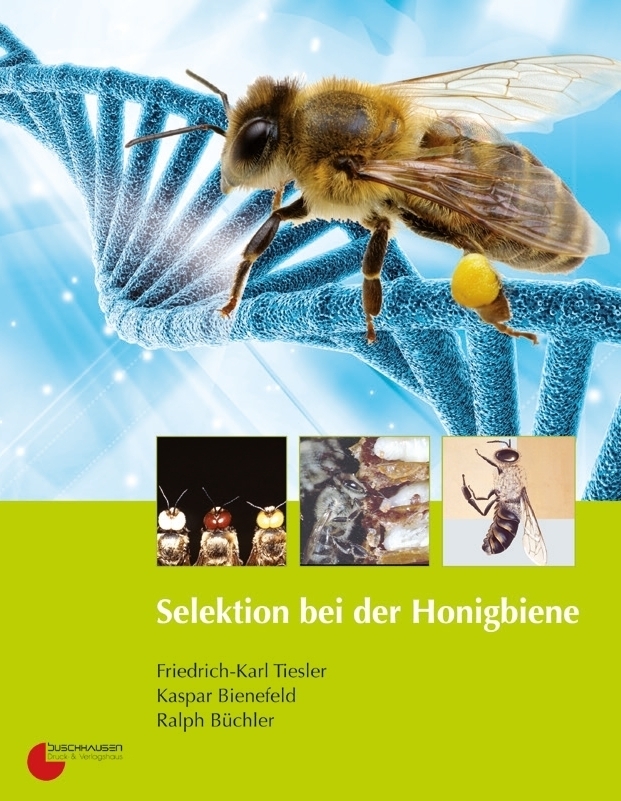 Selektion der Honigbiene Selektion der Honigbiene