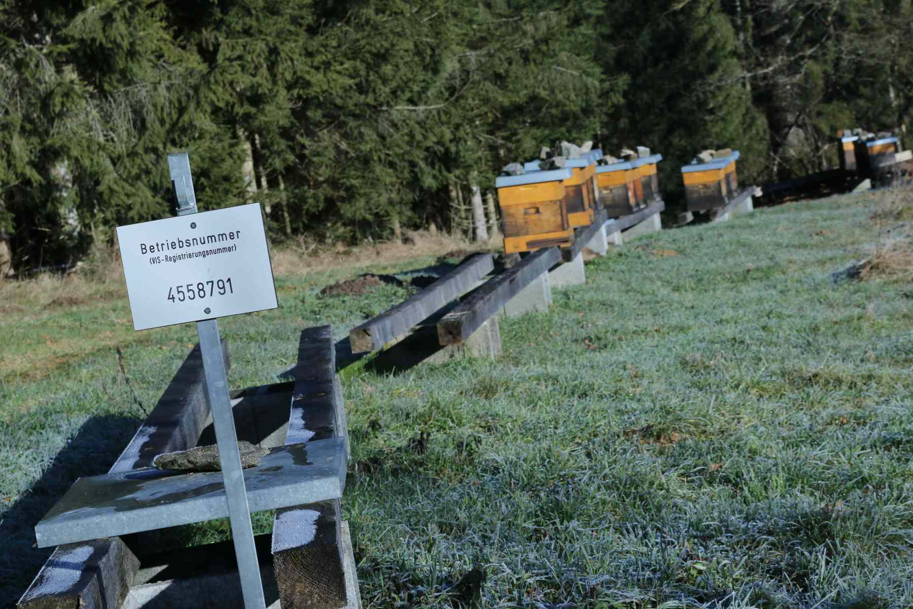 Die VIS-Kennzeichnung am Bienenstand Die VIS-Kennzeichnung am Bienenstand