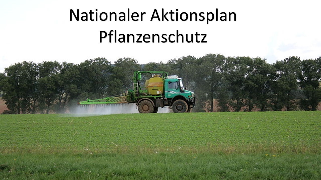 Nationaler Aktionsplan Pflanzenschutz.jpg Nationaler Aktionsplan Pflanzenschutz.jpg