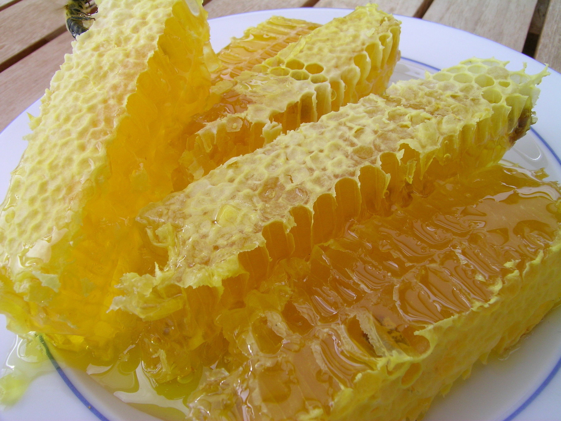 Goldgelber Blütenhonig in der Wabe Goldgelber Blütenhonig in der Wabe