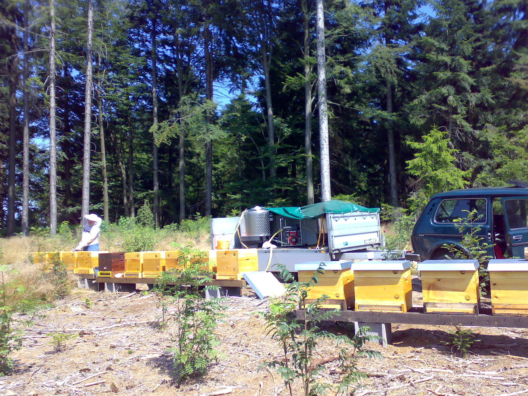Fütterung der Bienen für den Winter Fütterung der Bienen für den Winter