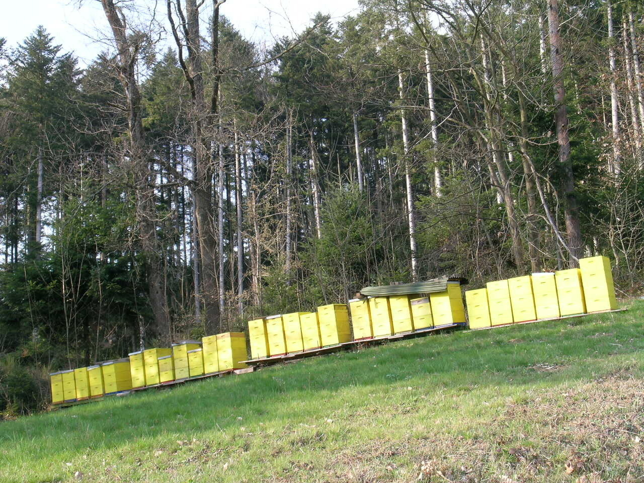 Großer Magazin-Bienenstand Großer Magazin-Bienenstand