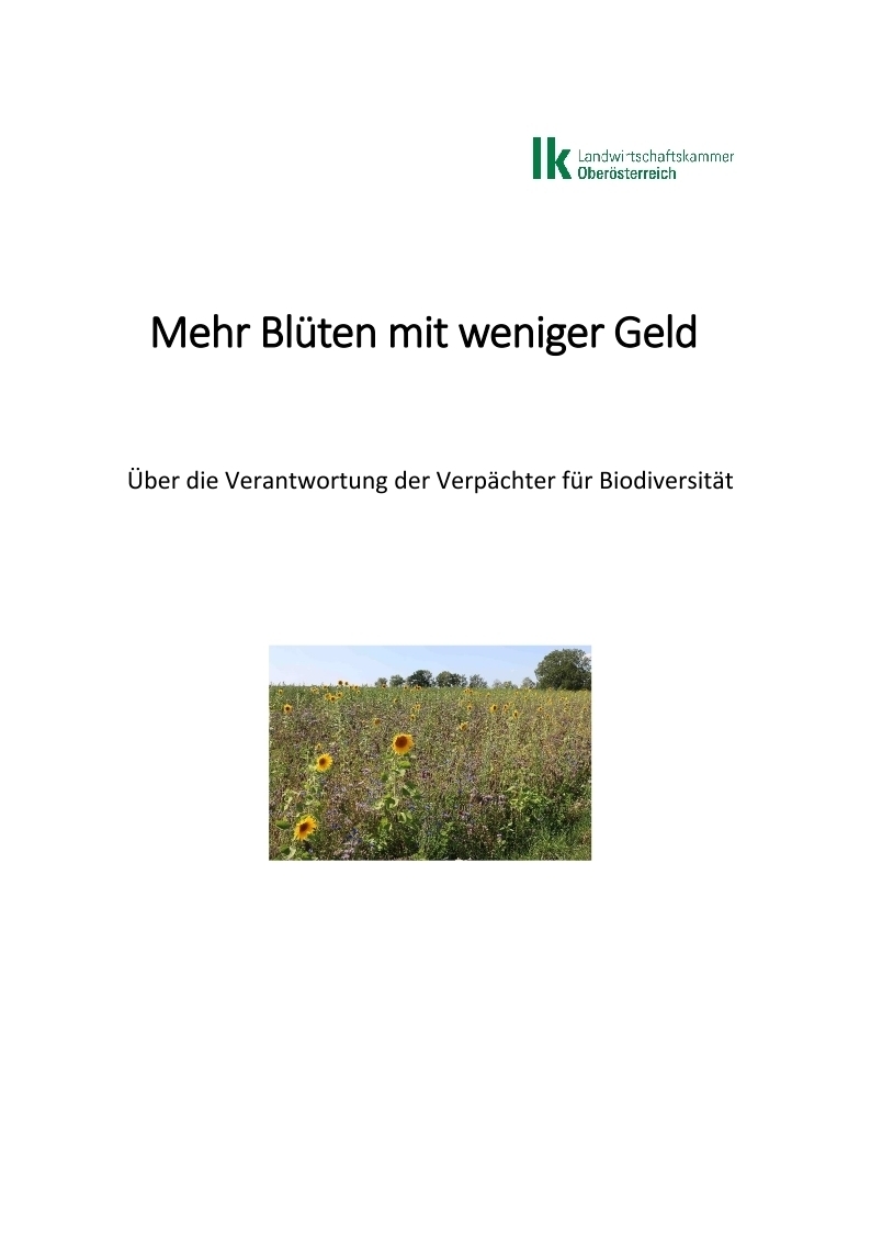 Publikation: Mehr Blüten mit weniger Geld Publikation: Mehr Blüten mit weniger Geld