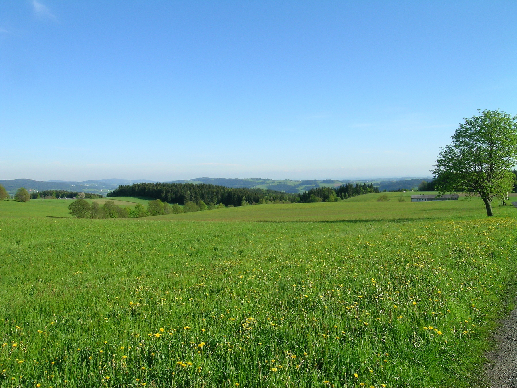 Die Weiten des Mühlviertels Die Weiten des Mühlviertels