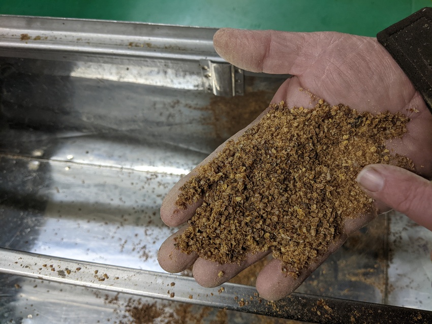 Feinkrümeliges Propolis aus dem Gitter Feinkrümeliges Propolis aus dem Gitter
