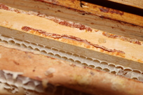 Propolis auf Rähmchenoberleiste Propolis auf Rähmchenoberleiste