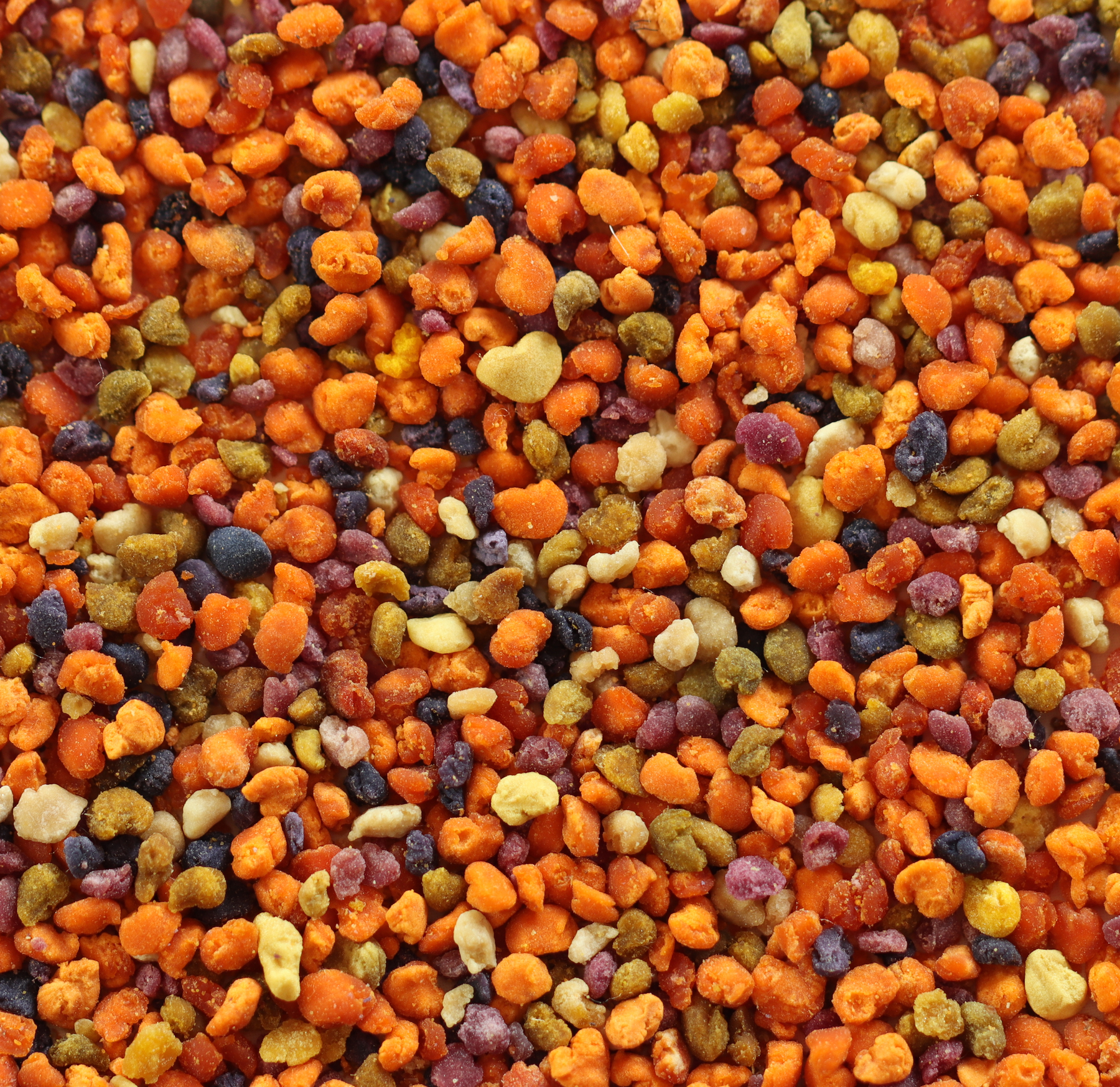 Blütenpollen - prächtiger als der Regenbogen Blütenpollen - prächtiger als der Regenbogen