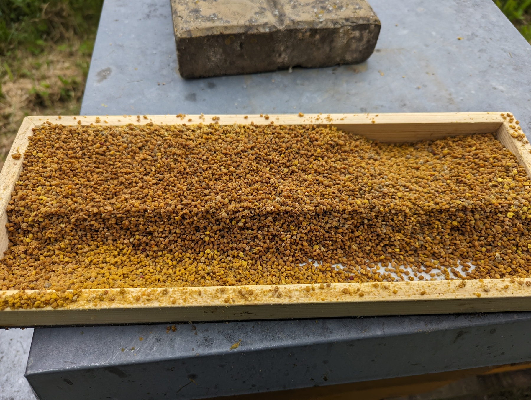 Frisch gesammelter Pollen Frisch gesammelter Pollen