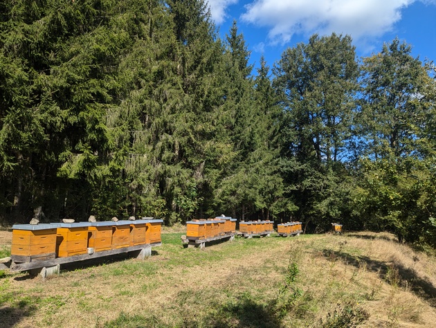 Bienenstand Herbst Aschenberg © Peter Frühwirth