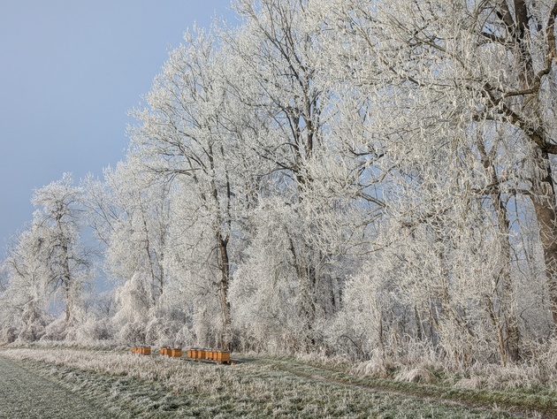 Jänner Stimmung Lage Biohof Achleitner